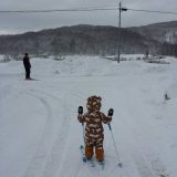アリガト2015、ヨロシク2016